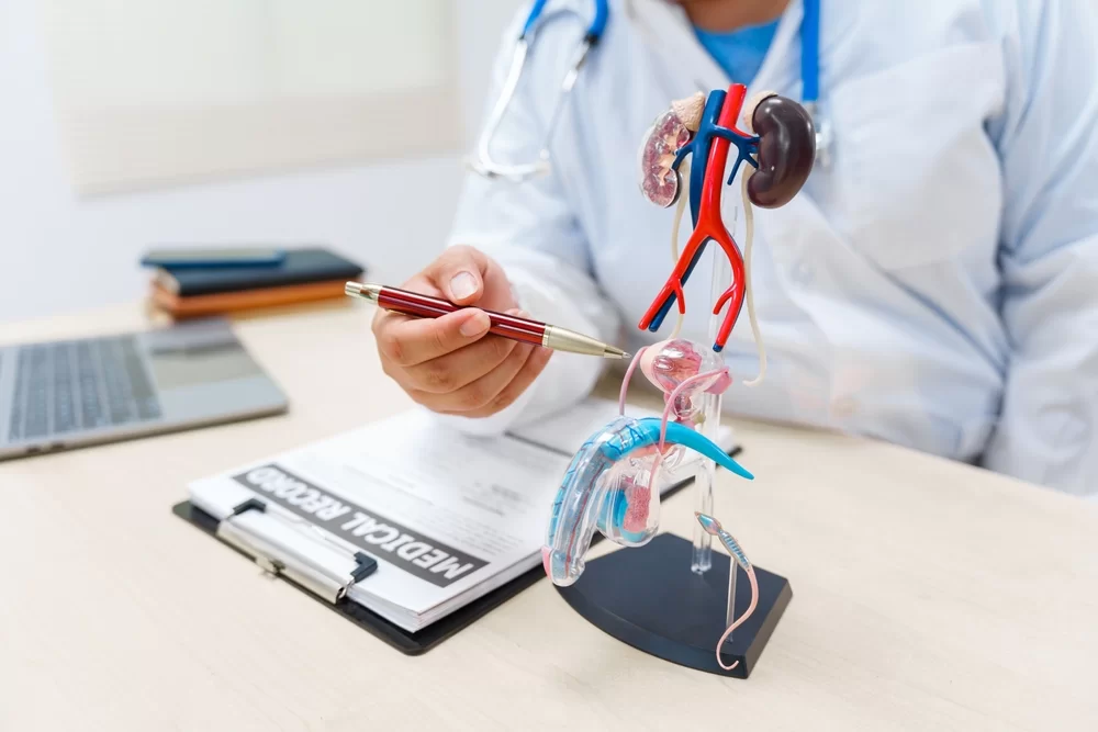 Urology